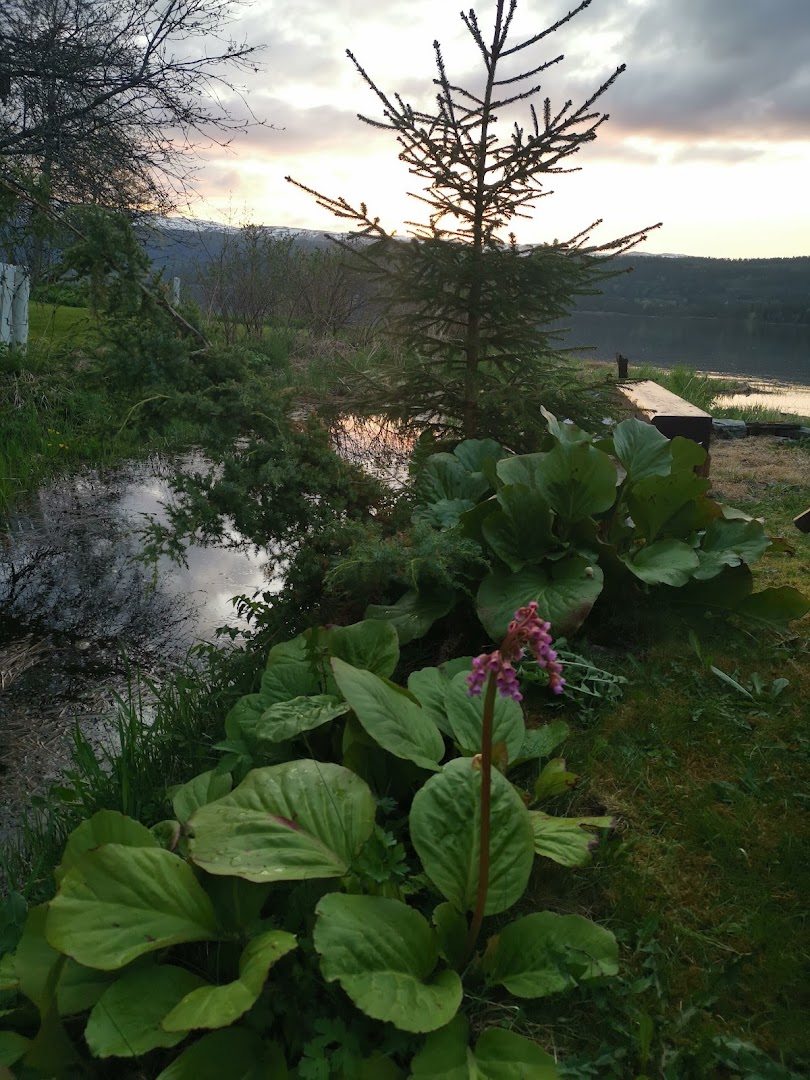 Garveriet kafe, gjenbruks-butikk, utstillinger · Bilder 8